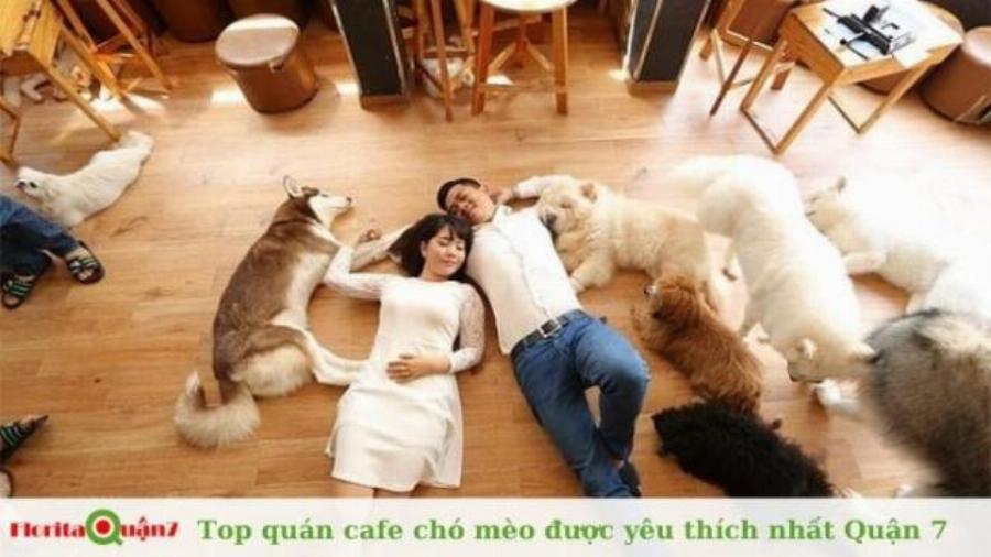 Chu cho dang yeu choi dua o quan cafe pet quan 7