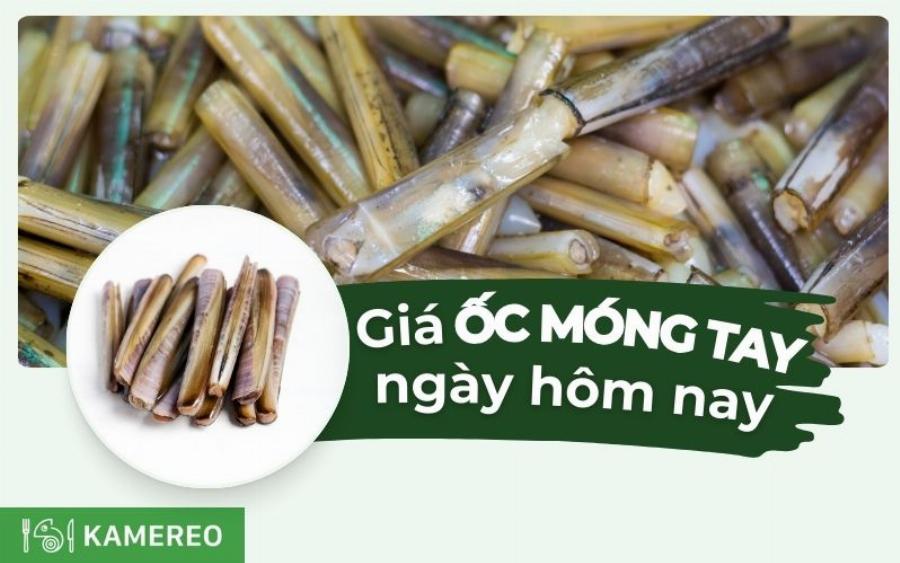 Những con ốc tươi ngon, đảm bảo chất lượng là yếu tố quan trọng tại các quán ốc quận 7