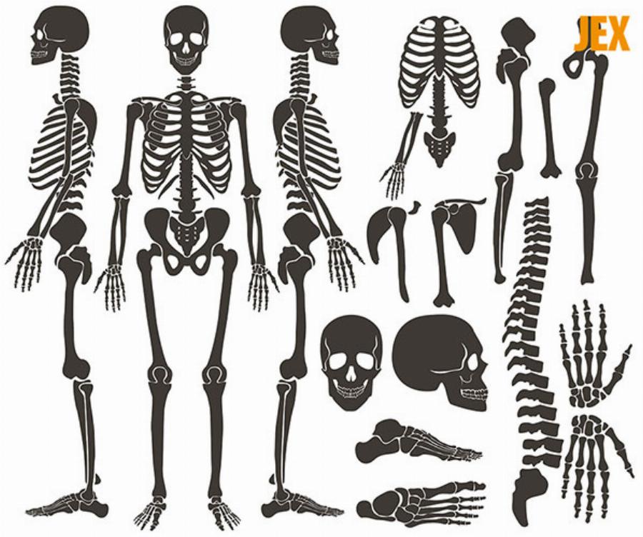 Massage Quận 10: Cẩm Nang Lựa Chọn Spa Uy Tín & Trải Nghiệm Đỉnh Cao 3 Massage Mỹ Ngọc Quận 10: Đánh Giá Chi Tiết Từ Chuyên Gia