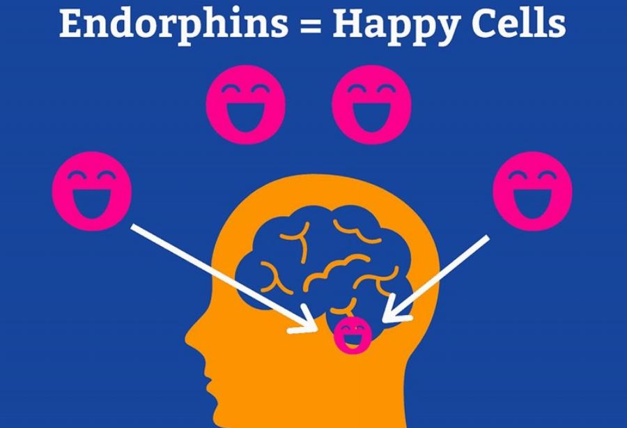 Khám Phá Địa Điểm Massage Nguyễn Thị Định Quận 2: Bí Quyết Chọn Nơi Thư Giãn Đẳng Cấp