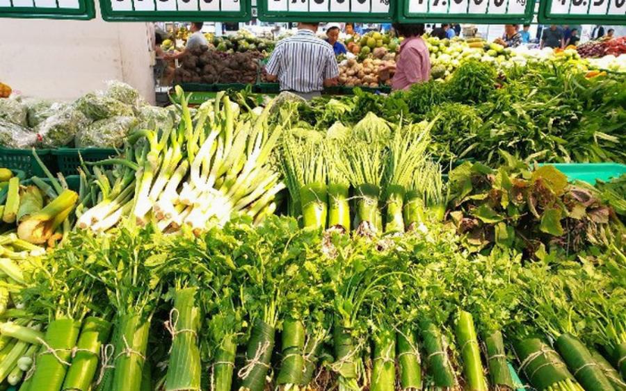 Hình ảnh khách hàng sử dụng túi thân thiện với môi trường tại Co.opmart Quận 12, thể hiện ý thức bảo vệ môi trường.