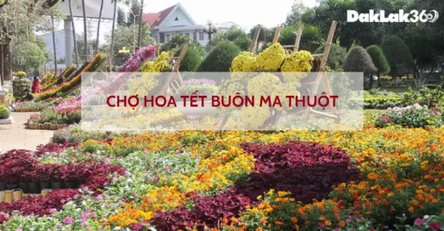 Hình ảnh Co.opmart Quang Trung, không gian mua sắm, các mặt hàng đa dạng, trải nghiệm mua sắm