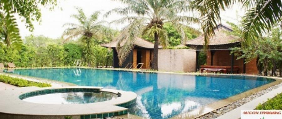 Massage Hóc Môn Giá Rẻ: Bí Quyết Tìm Nơi Thư Giãn Chất Lượng