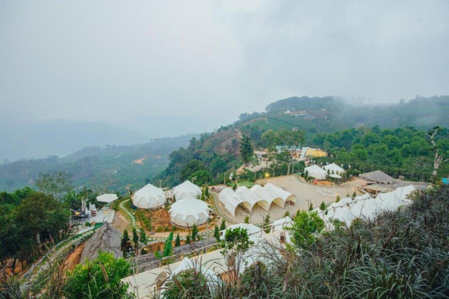 Giới Trẻ Yêu Thiên Nhiên Cloud Pot