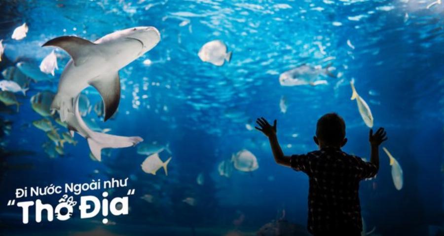 Miso Ramen Hachiban Parc Mall Hương Vị Đậm Đà