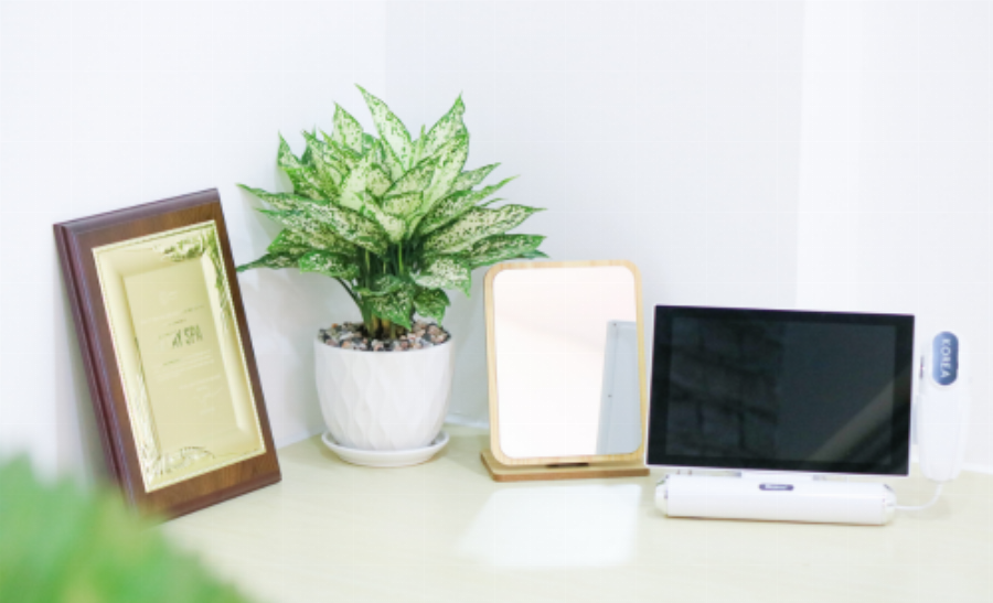 Không gian sảnh chờ ấm cúng và thư giãn tại Massage Bồng Lai Thủ Đức