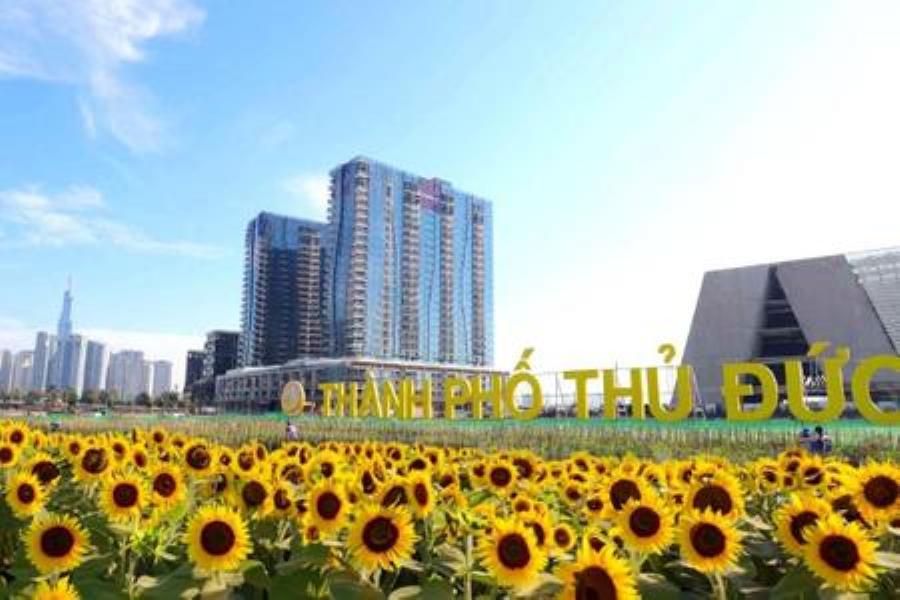 Subin BBQ Gigamall: Trải Nghiệm Nướng Thị Tuyệt Đỉnh Cho Tín Đồ Ẩm Thực