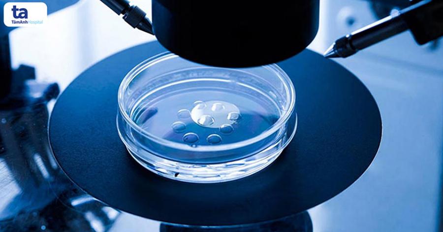 Massage Bến Thượng Hải Quận 2: Đánh Giá Chi Tiết Trải Nghiệm Thư Giãn Đỉnh Cao