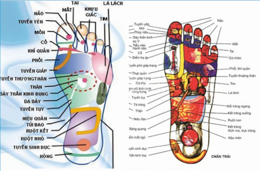Lợi ích massage bấm huyệt Thủ Đức với sức khỏe thể chất và tinh thần
