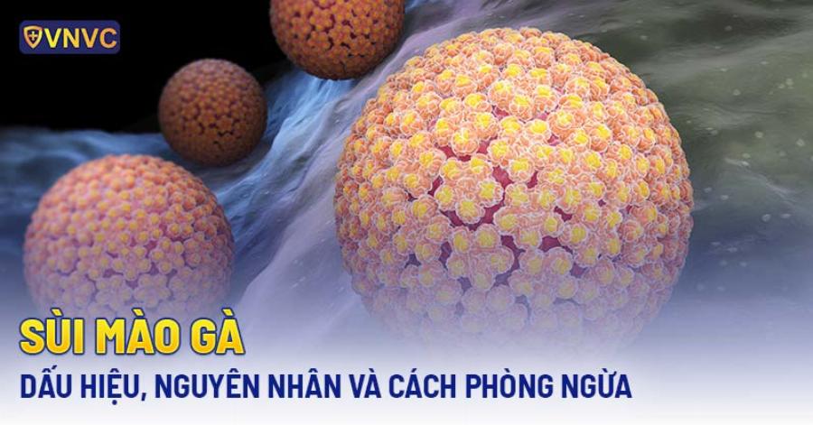 Massage Phụng Hoàng Các Bình Chánh: Đánh Giá Chi Tiết Từ Chuyên Gia