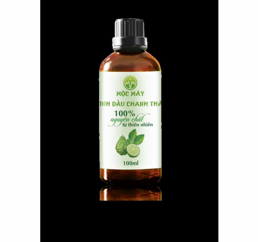 Massage Nhạc Dương Lầu Bình Chánh: Đánh Giá Chi Tiết Từ Chuyên Gia