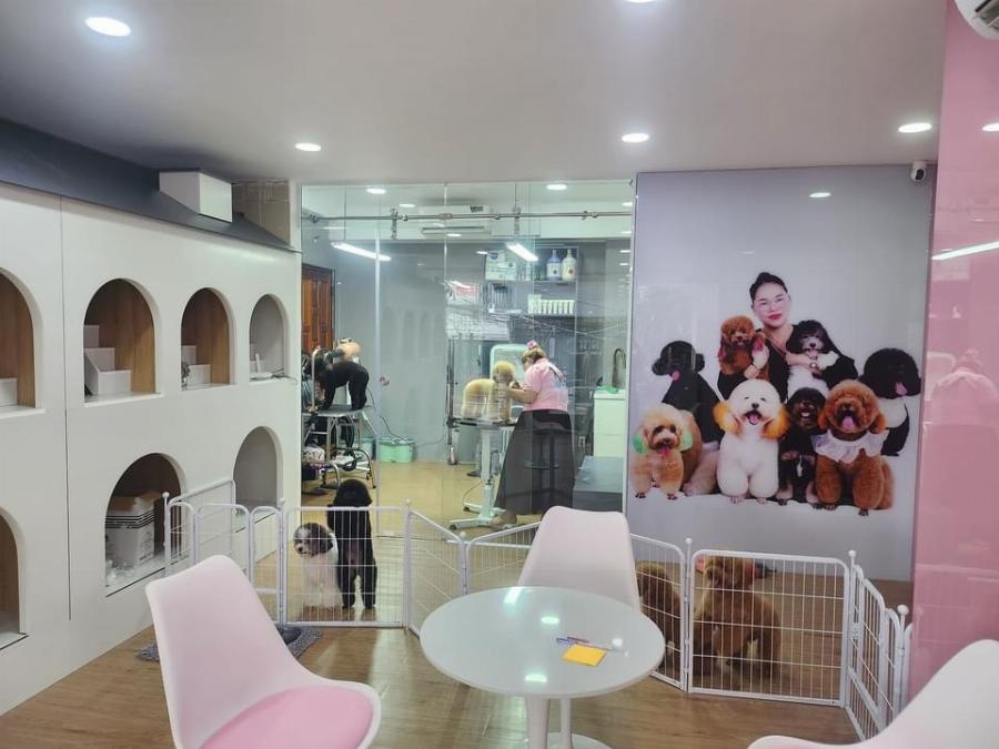 Massage Cao Đạt Quận 5: Khám Phá Dịch Vụ Thư Giãn Đỉnh Cao