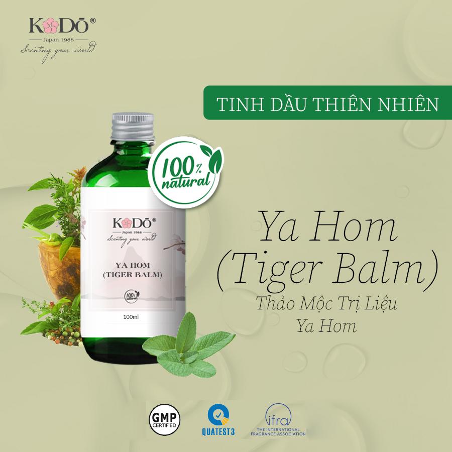 Bộ sưu tập tinh dầu thiên nhiên sử dụng trong massage hương trị liệu tại spa luxury quận 7