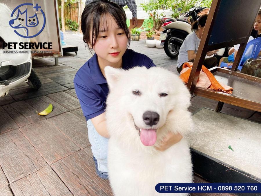 Massage Thái Quận 11: Giải Pháp Thư Giãn &amp; Phục Hồi Sức Khỏe Toàn Diện