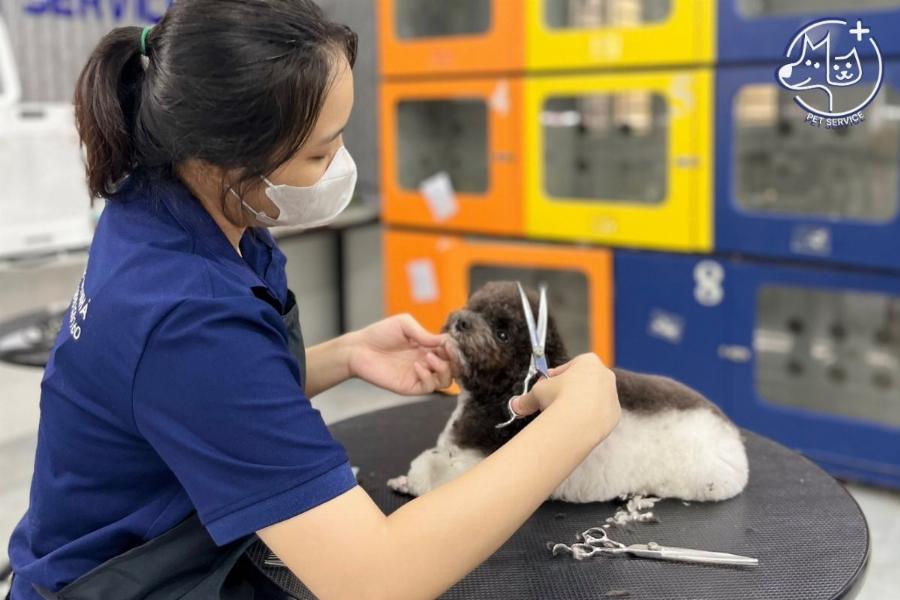 Massage tại nhà quận Bình Tân tiện lợi, thoải mái như spa chuyên nghiệp