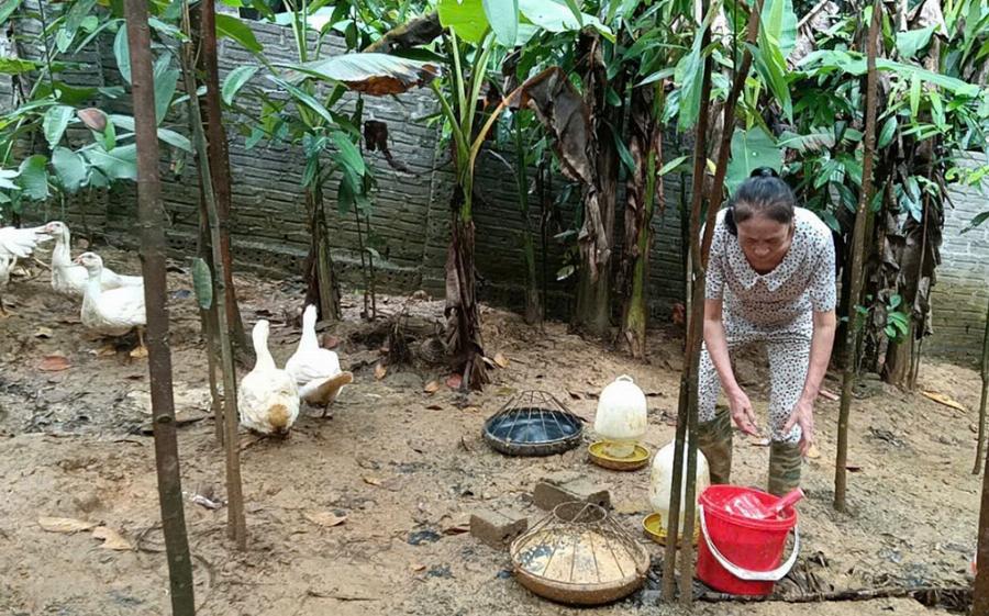 Tẩm Quất Miền Tây: Khám Phá Nghệ Thuật Thư Giãn Độc Đáo