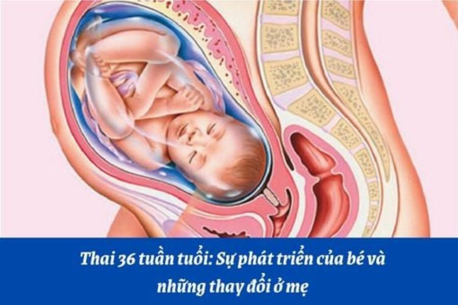 Khám Phá Dịch Vụ Massage Khỏe Nhà Bè Uy Tín: Hướng Dẫn Từ Chuyên Gia