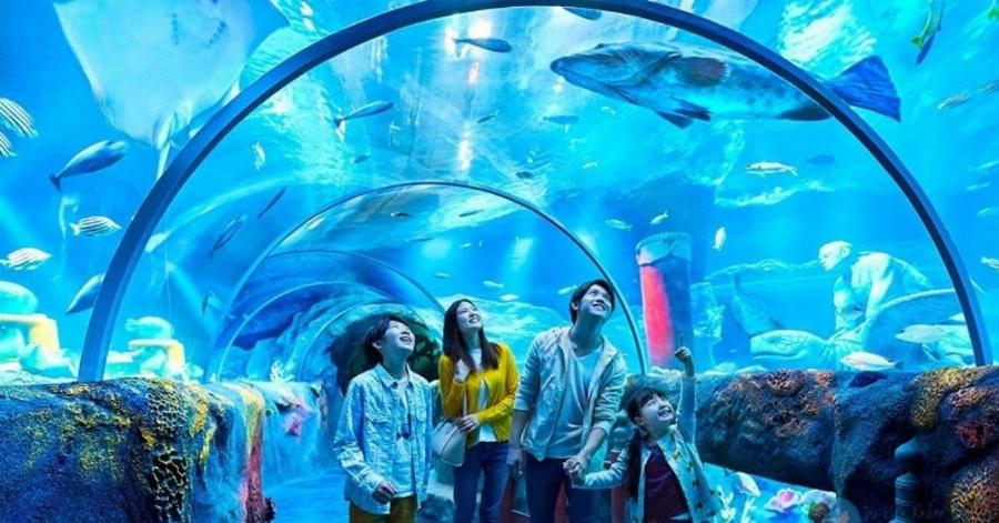 bảng giá vé tham khảo tiniworld parc mall các loại vé ưu đãi