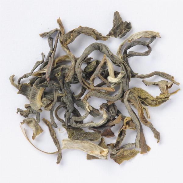 Hình ảnh không gian mua sắm chung bên trong Lotte Mart Quận 11 với các lối đi rộng rãi, kệ hàng ngăn nắp và hệ thống chiếu sáng tốt.