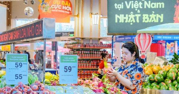 MM Mega Market Có Bao Nhiêu Chi Nhánh? Cập Nhật Mới Nhất 2024